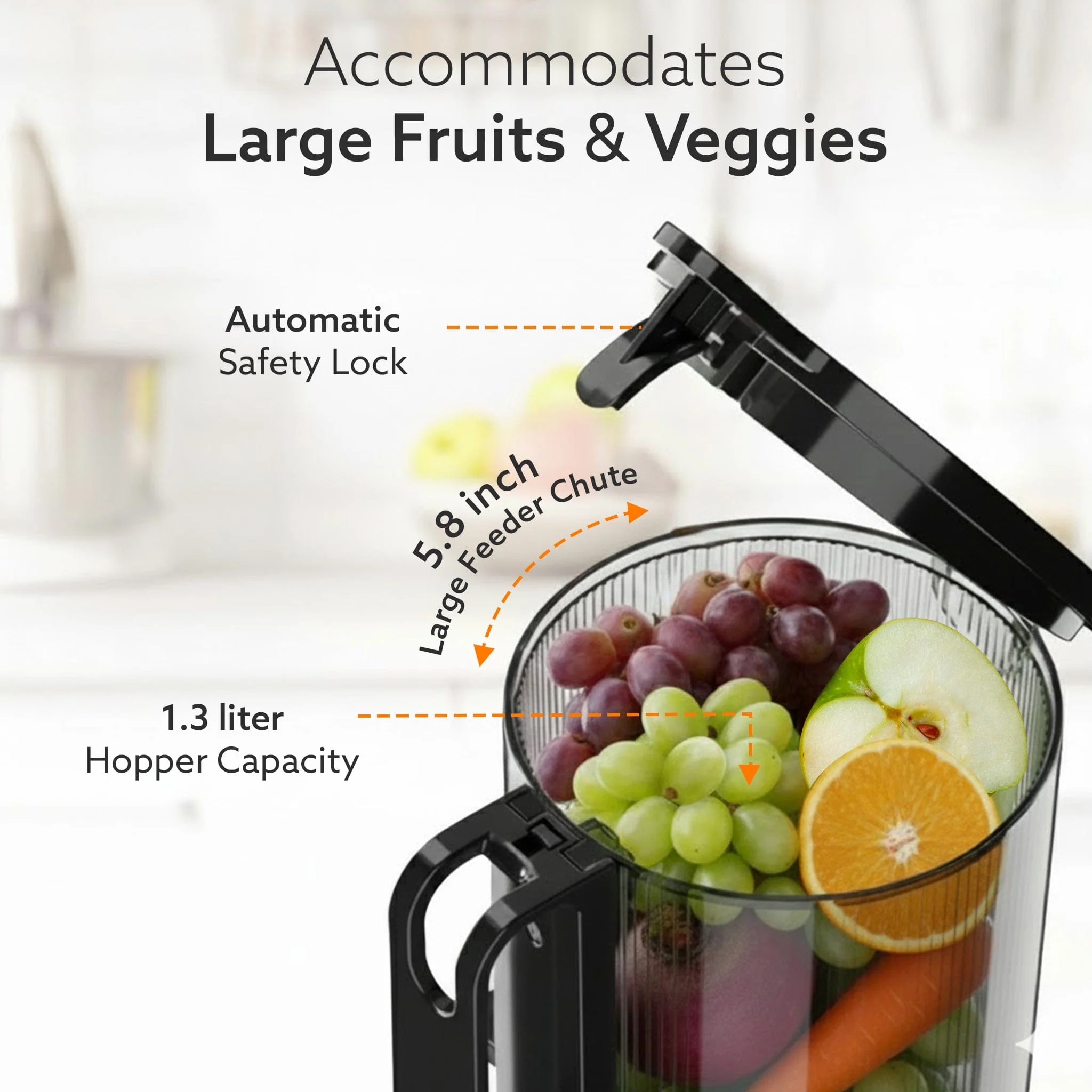 Regal Cold Press Slow Juicer, 250 Watt DC Motor, Easy Assembly & Cleaning, Auto Reverse, Advanced Safety Lock, Fruit & Vegetable Juicer & Nut Milk, Stainless Steel Filter, BPA Free Plastic - Image 4